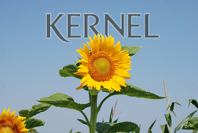 Кернел logo