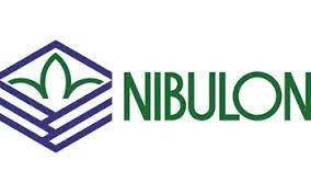 Nibulon logo