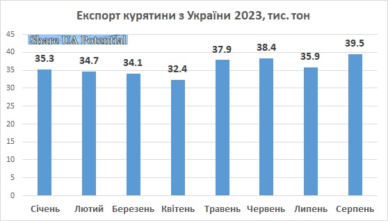 Експорт курятини, м'ясо птиці Україна серпень 2023